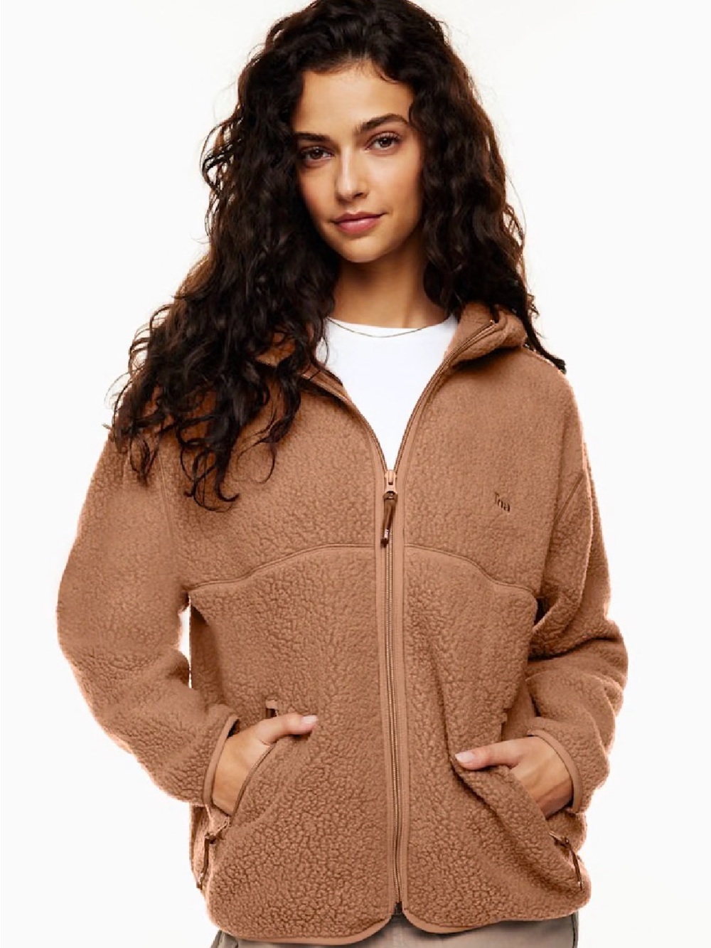 Aritzia TNA Bigfoot Polar Zip Hoodie